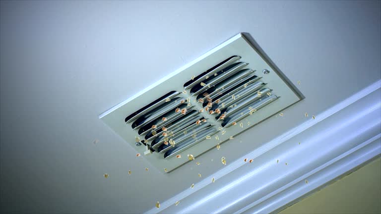 Best Best Air Duct Cleaning Company  in Molalla, OR