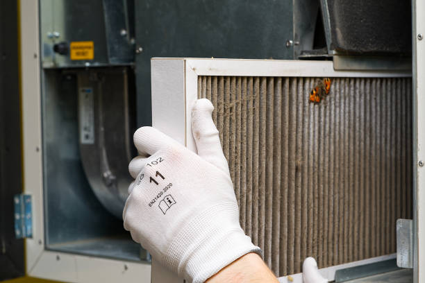Best Affordable HVAC Duct Cleaning  in Molalla, OR