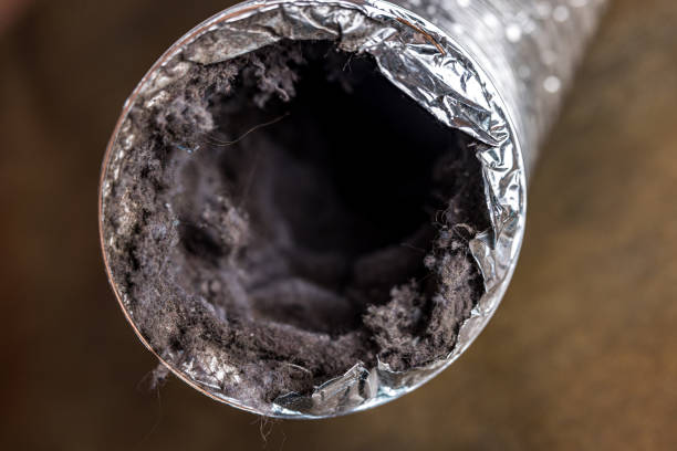 Best Ductwork Cleaning Services  in Molalla, OR