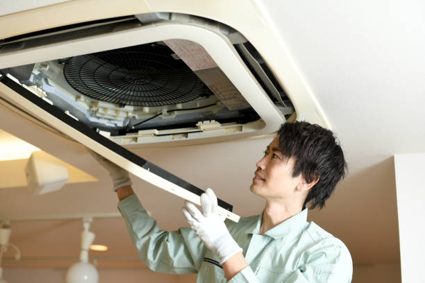 Best Air Vent Cleaning Services  in Molalla, OR